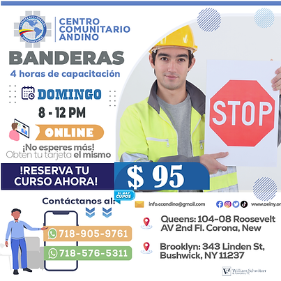 BANDERA DOMINGO.png